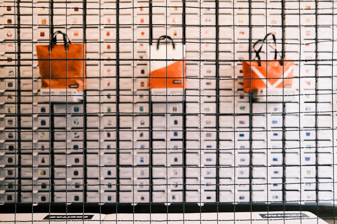 Głosowanie elektroniczne w wyborach – czy i kiedy będzie możliwe?