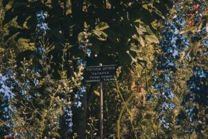 Nazwy ulic w Warszawie – jak powstają i jakie mają ciekawostki?