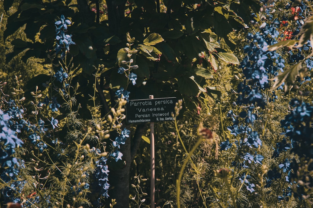 Nazwy ulic w Warszawie – jak powstają i jakie mają ciekawostki?